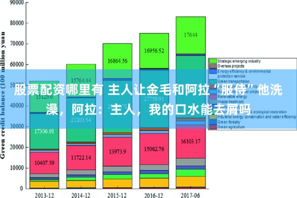 股票配资哪里有 主人让金毛和阿拉“服侍”他洗澡，阿拉：主人，我的口水能去屑吗