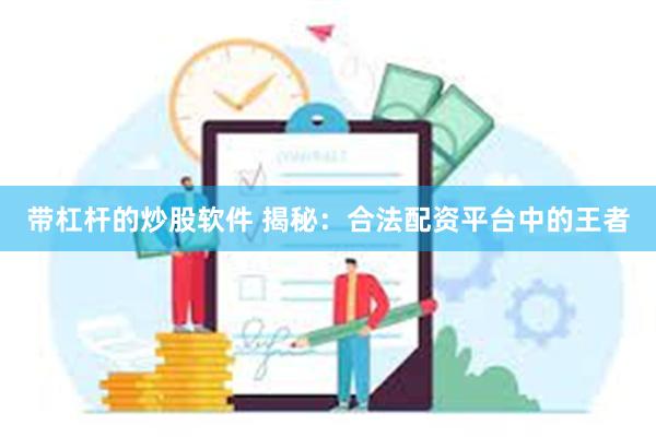 带杠杆的炒股软件 揭秘：合法配资平台中的王者