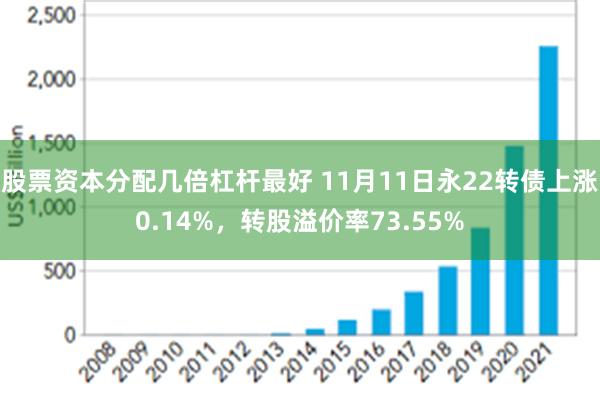 股票资本分配几倍杠杆最好 11月11日永22转债上涨0.14%，转股溢价率73.55%