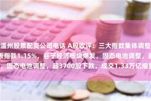 温州股票配资公司电话 A股收评：三大指数集体调整！沪指跌0.12%创业板指跌1.15%，谷子经济板块爆发，固态电池调整，超3700股下跌，成交1.33万亿缩量1868亿