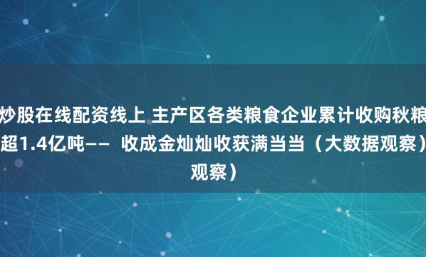 炒股在线配资线上 主产区各类粮食企业累计收购秋粮超1.4亿吨——  收成金灿灿收获满当当（大数据观察）