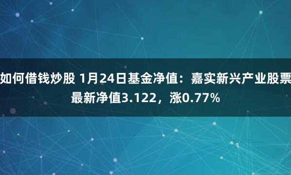 如何借钱炒股 1月24日基金净值：嘉实新兴产业股票最新净值3.122，涨0.77%