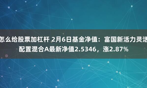 怎么给股票加杠杆 2月6日基金净值：富国新活力灵活配置混合A最新净值2.5346，涨2.87%