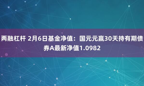 两融杠杆 2月6日基金净值：国元元赢30天持有期债券A最新净值1.0982