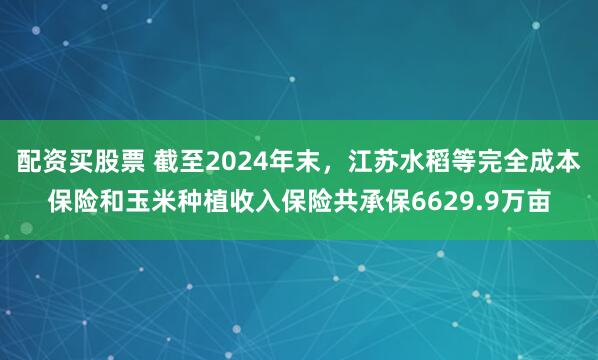 配资买股票 截至2024年末，江苏水稻等完全成本保险和玉米种植收入保险共承保6629.9万亩